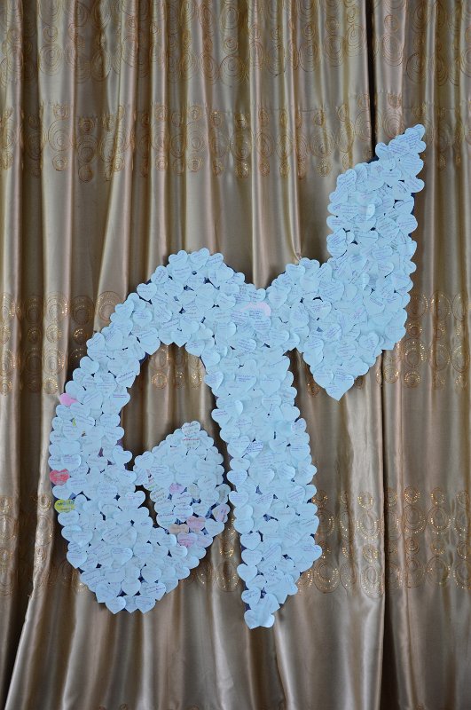 a (27)